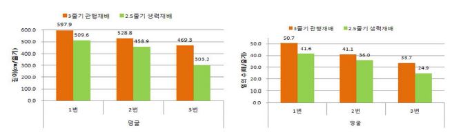 수박의 정지방법에 따른 수박의 생육