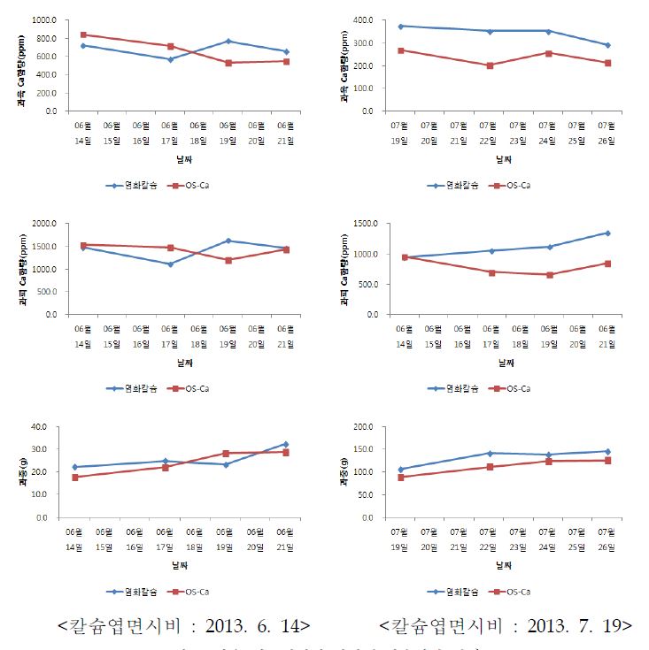 칼슘 엽면시비시 과실내 칼슘함량 변화