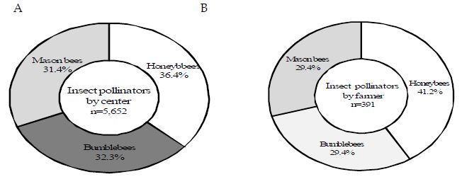 Percentage of insect pollinator use at survey by agriculture technology center (A) and cultivation farmer (B) in apple crop.