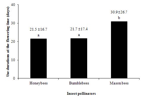 The use duration of Insect pollinators, honeybees, bumblebees and mason bees colony at the flowering time of apple.