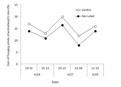 The average rate of foraging activity at normal(control) bumblebee colony and recruited bumblebeecolony at different days and times.