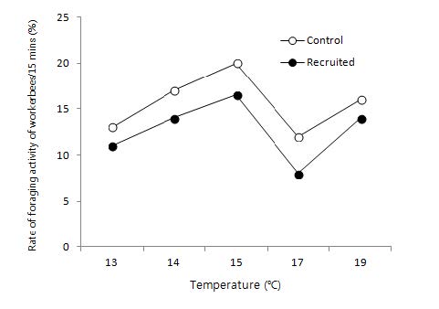 The average rate of foraging activity at normal(control) bumblebee colony and recruited bumblebee colony at different temperatures in apple orchard.