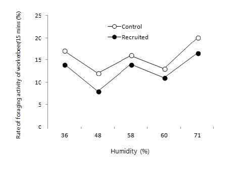 The average rate of foraging activity at normal(control) bumblebee colony and recruited bumblebee colony at different humidities in apple orchard.