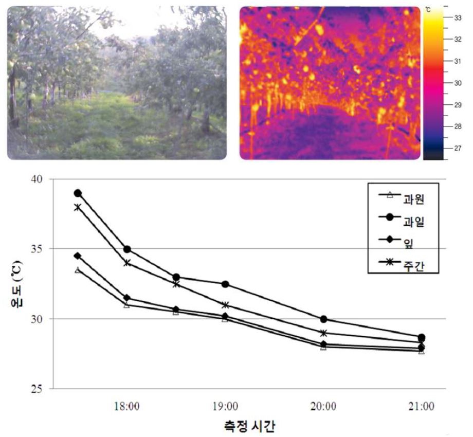 사과나무 미세살수에 따른 수체 부위별 온도 변화(2012. 7월 하순).