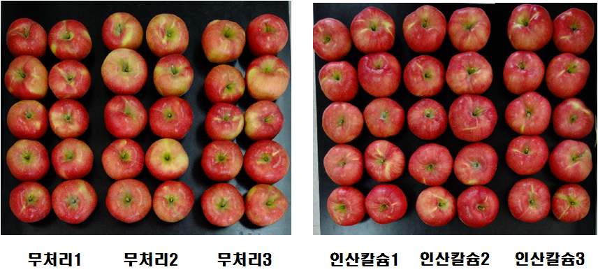 인산칼슘 처리에 따른 홍로 과실 품질 비교