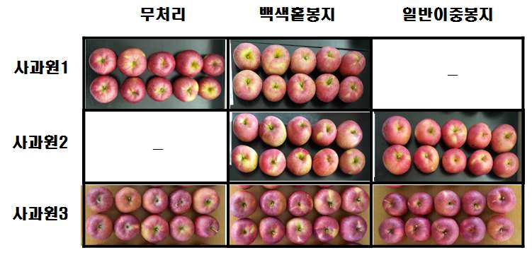 봉지 종류에 따른 감홍 품종 과실 품질 비교