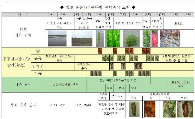 함초 퉁퉁마디뿔나방 종합관리 모델