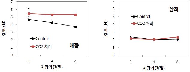 딸기(매향, 장희) CO2 처리 후 저장 중 경도 변화