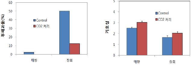 딸기(매향, 장희) CO2 처리 후 저장 8일 후 부패과율 및 기호성