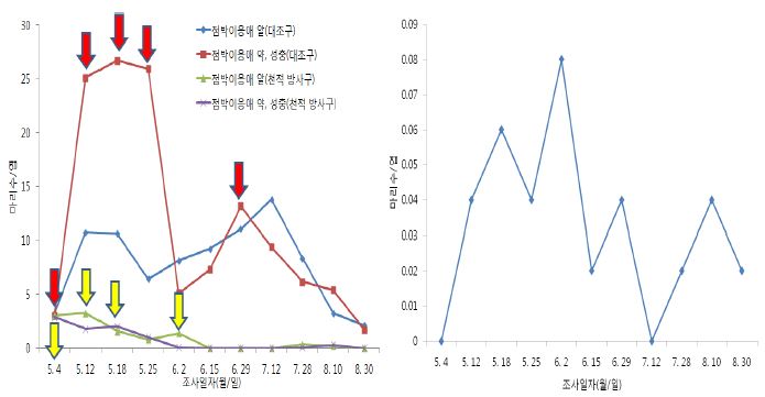 합천 고설딸기에서 육묘 중 점박이응애 방제효과 및 천적 지속성(2012)