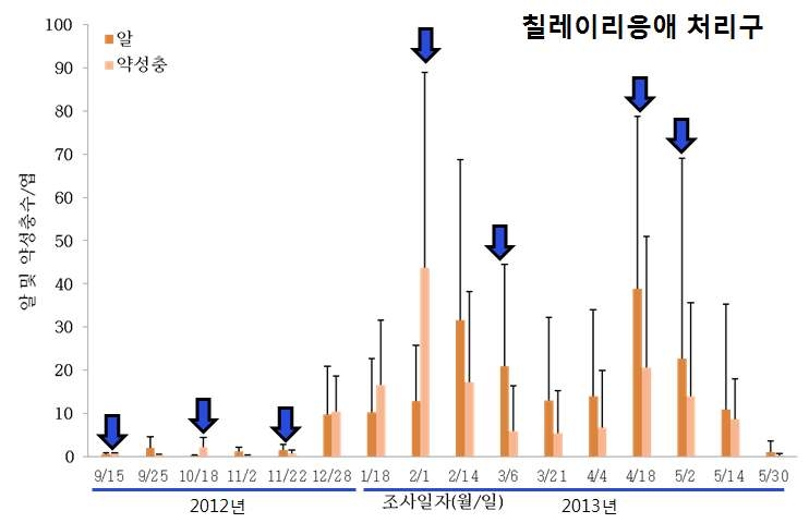 남원 고설딸기에서 천적을 이용한 점박이응애 방제효과(2013)