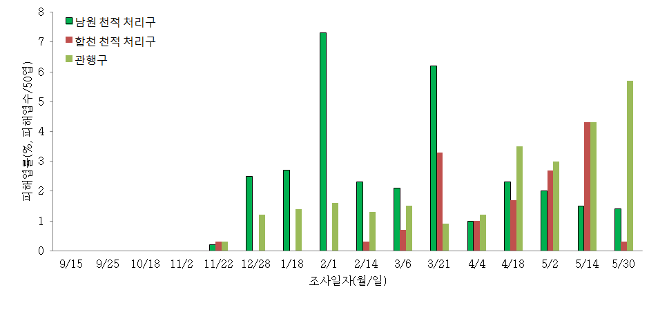 고설딸기에서 천적처리구와 대조구(관행구)의 점박이응애에 의한 피해엽율(2013)
