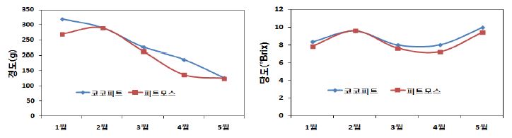 배지교체 따른 경도와 당도 비교