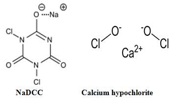 NaDCC와 Calcium hypochlorite의 구조식