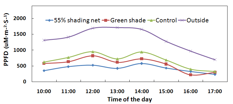 차광제 처리에 의한 PPFD 비교