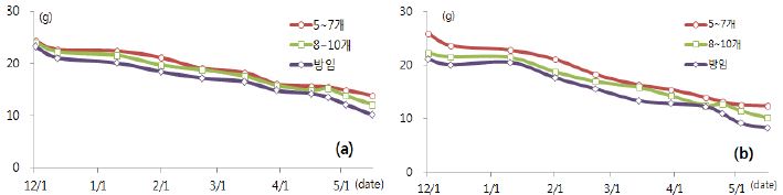 착과수 조절에 따른 시기별 과중의 변화(a: 설향, b: 대왕)