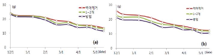 액아관리에 따른 시기별 과중의 변화(a: 설향, b: 대왕)