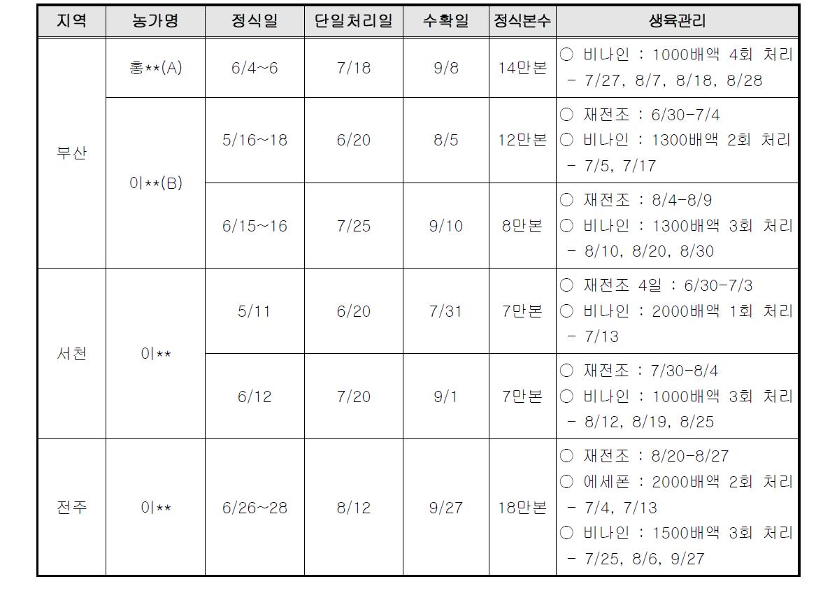 1년차(‘12) 백마 소형절화 재배기술 현장실증 농가 및 재배현황