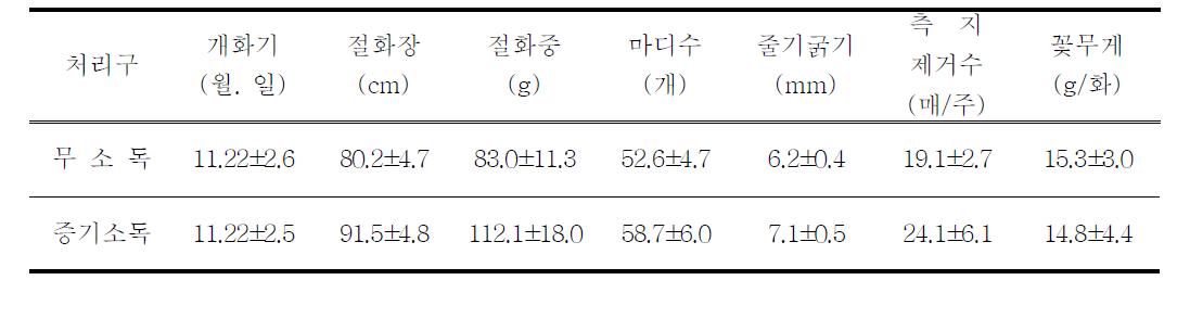 토양증기살균 투입 후 ‘백마’국화의 절화특성