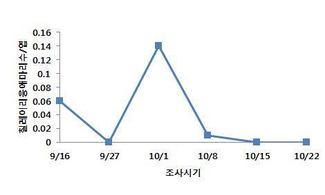 가을재배시 시설국화에서 칠레이리응애의 약성충 발생밀도