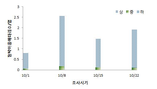 시설국화에서 점박이응애 약성충의 발생분포