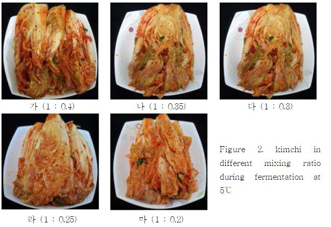 kimchi in different mixing ratio during fermentation at 5℃