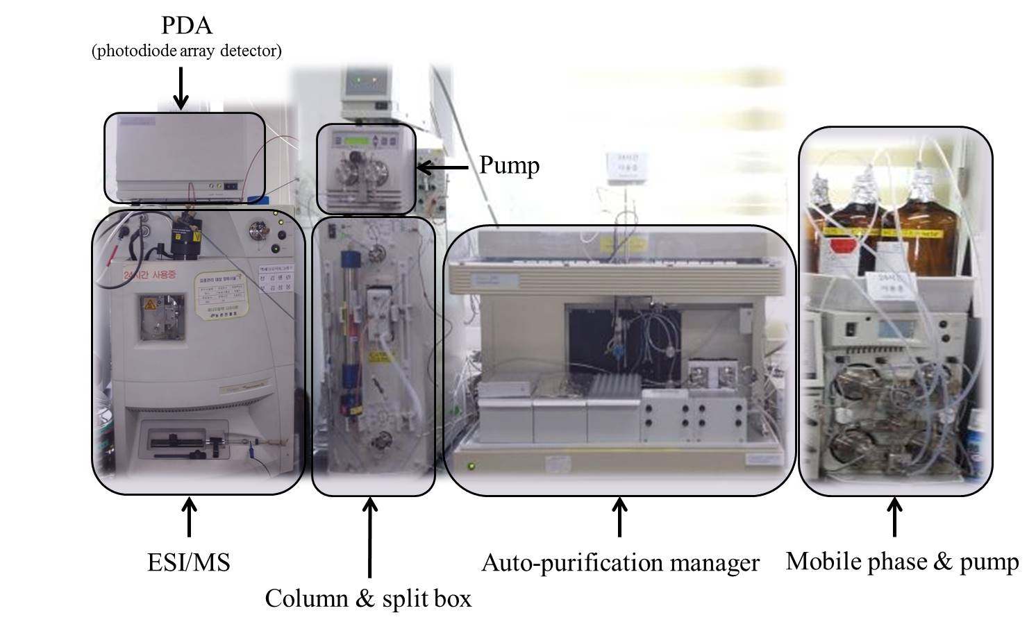 LC-DAD-ESI-MS with auto-purification system