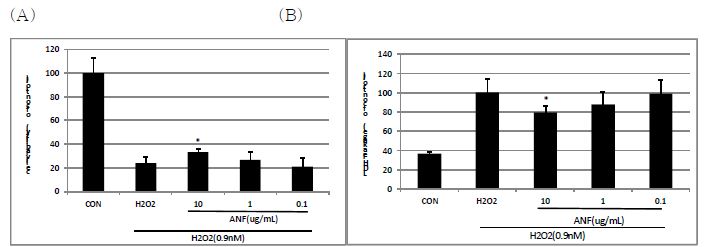Effect of ANF on H2O2-induced oxidative stress. Cell viability was measured by (A) MTT assay and (B) LDH assay. Data are expressed as Mean켚D