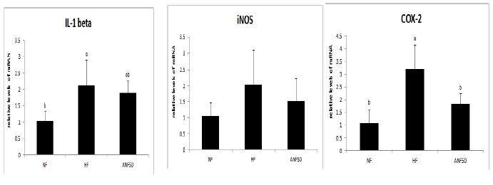 Effect of high fat diet and ANF supplementation on hepatic inflammation system related mRNA levels. Data are expressed as Mean켚D