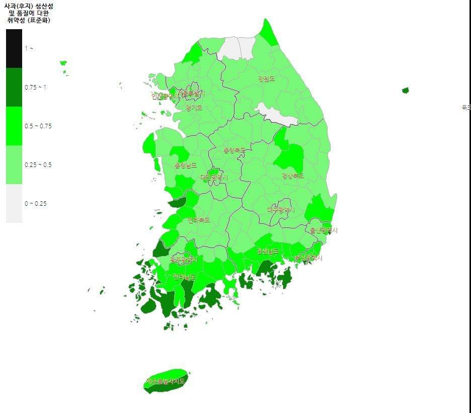 현재 취약성