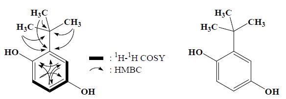화합물 7-2 변환체의 two-dimensional NMR correlation(좌) 및 화학구조(우).