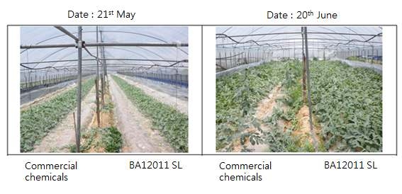 Comparison of weak to commercial chemicals and BA12011 SL