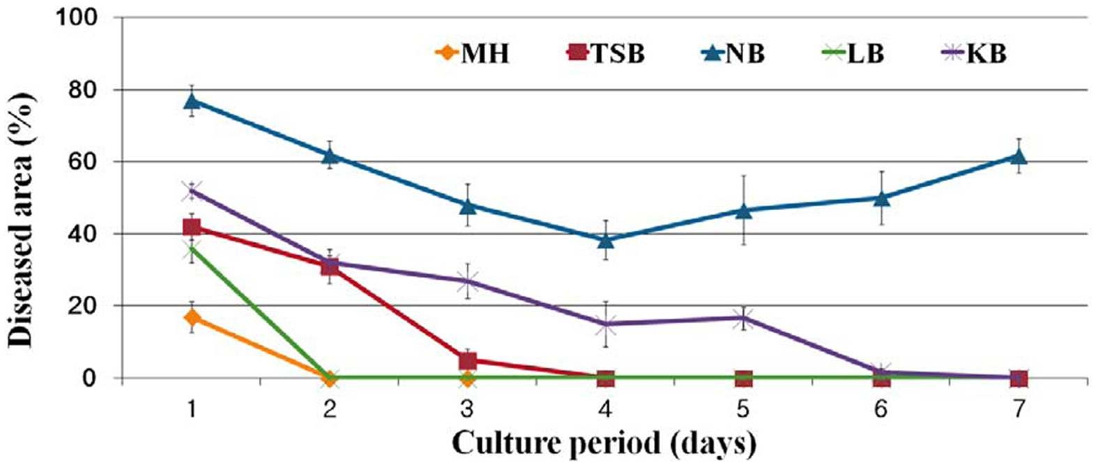Control effect of cucumber powdery mildew by treatment with culture filtrate at different media and culture period of B. amyloliquefaciens M27.
