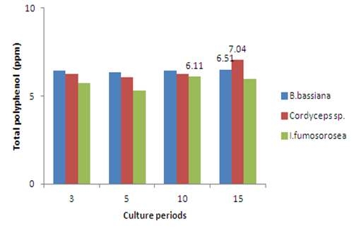 Comparison of Total polyphenol contents from culture medium
