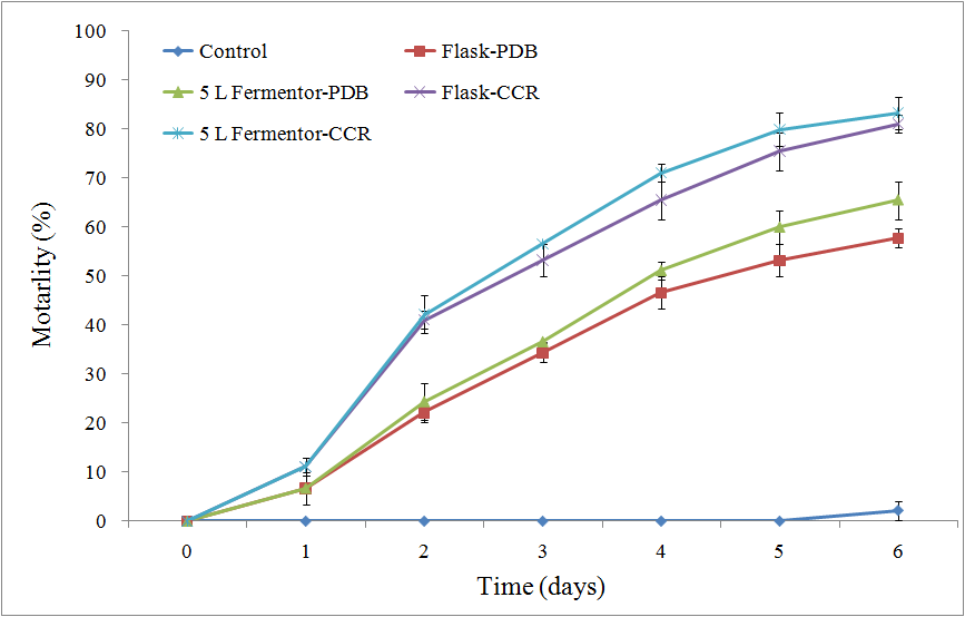 Flask와 jar-fermentor 배양액의 진딧물 살충률 비교