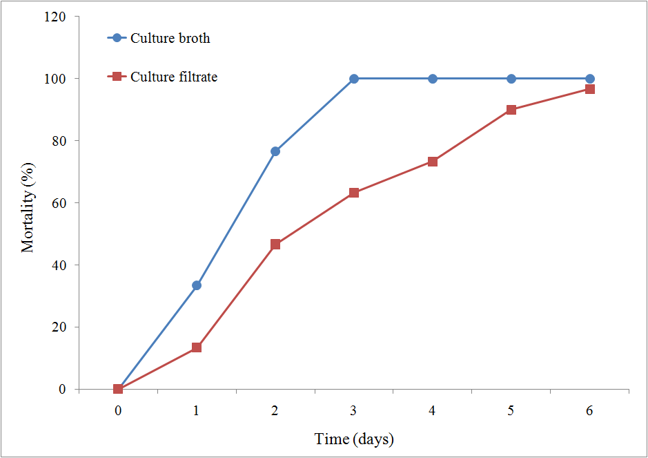 Aphid mortality by culture broth and culture filtrate of B. bassiana. The B. bassiana was cultured for 6 days using statistically optimized fermentation condition