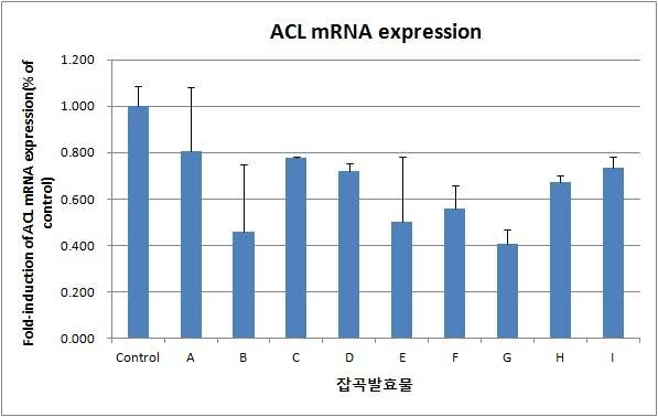 잡곡발효물의 ACL mRNA 발현