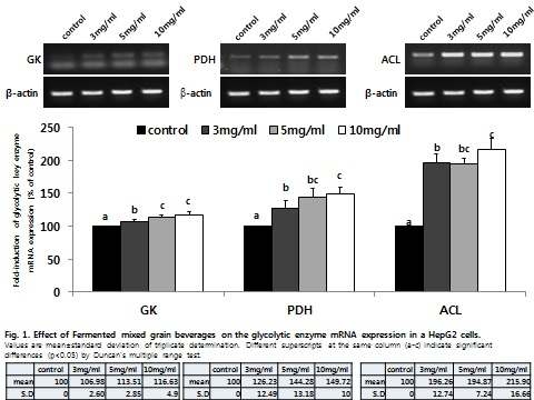 잡곡발효물 처리에 따른 HepG2 세포 내 ACL mRNA 발현 변화
