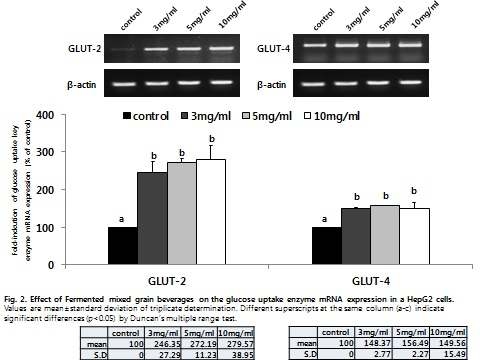 잡곡발효물 처리에 따른 HepG2 세포 내 GLUT-4 mRNA 발현 변화