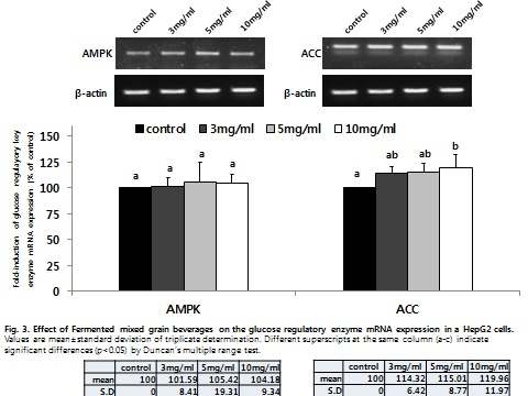 잡곡발효물 처리에 따른 HepG2 세포 내 ACC mRNA 발현 변화