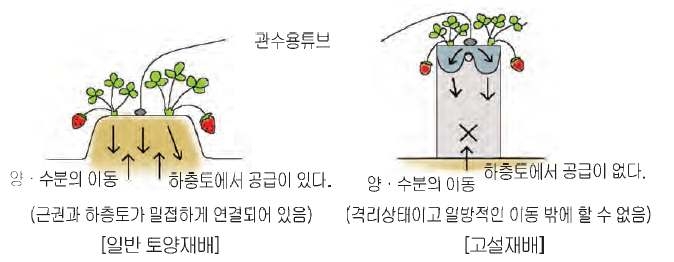 일반 토양재배와 고설수경재배의 차이