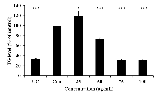 Effect of maysin on the triglyceride level in 3T3-L1 adipocytes