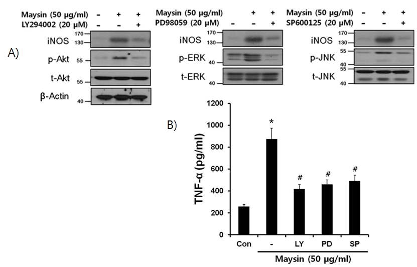 Akt, ERK and JNK function as mediators in maysin-induced immunostimulating activity in RAW 264.7 cells