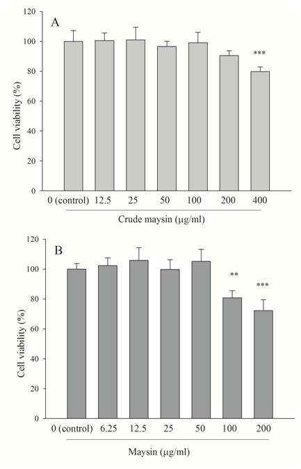 Cytotoxicity of crude maysin and maysin in RBL-2H3 cells.