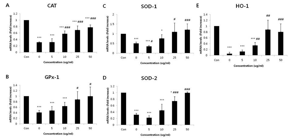 Effects of maysin on H2O2-induced mRNA expressions of antioxidant enzymes (CA T, GPx-1, SOD-1,2 and HO-1) in SK -N-M C cells.