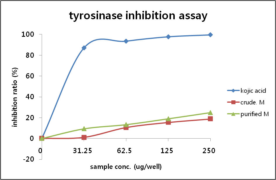 Tyrosinase inhibition activity of maysin