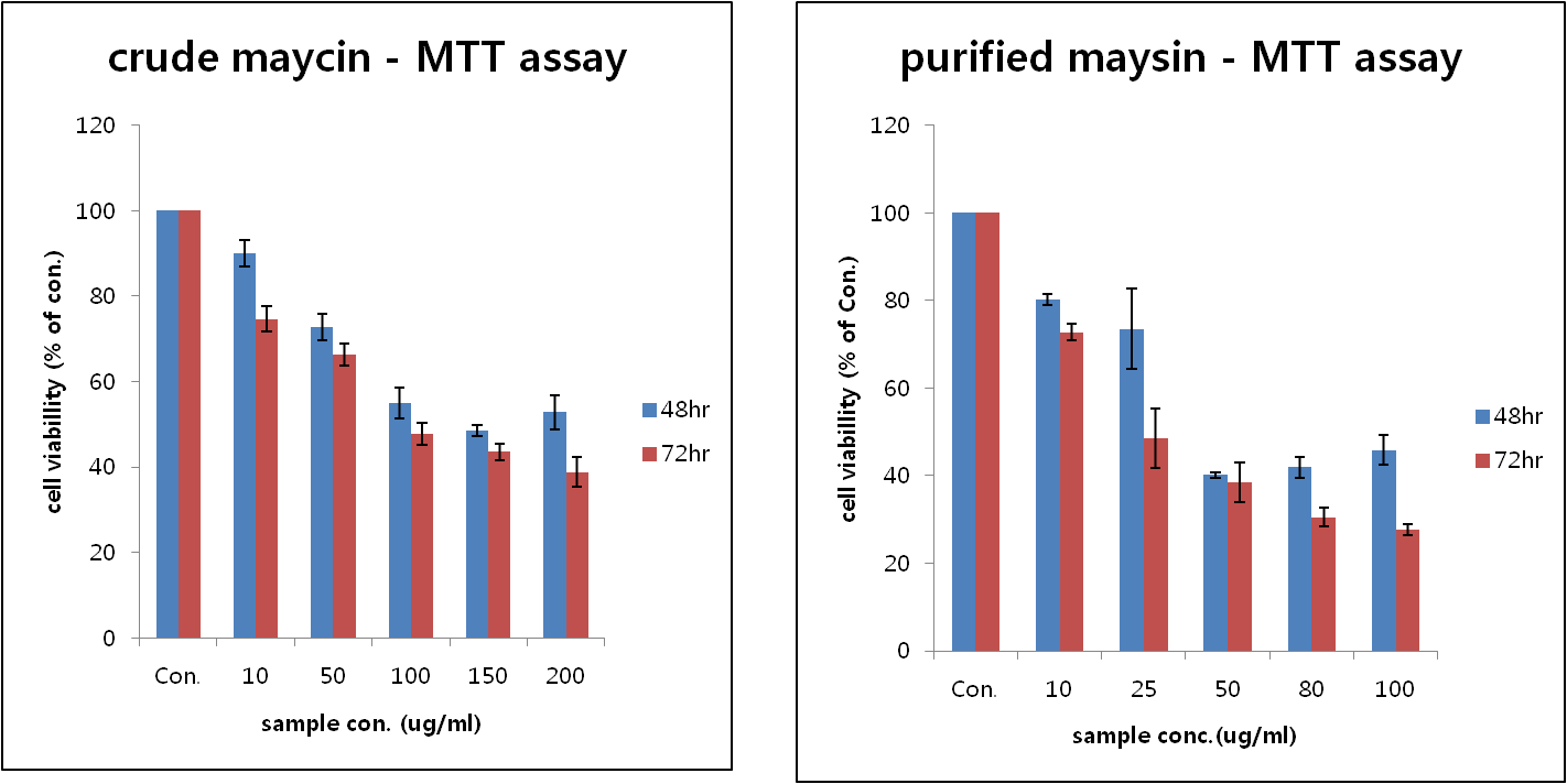 Effects of maysin on the viability of B16F10 melanoma cells