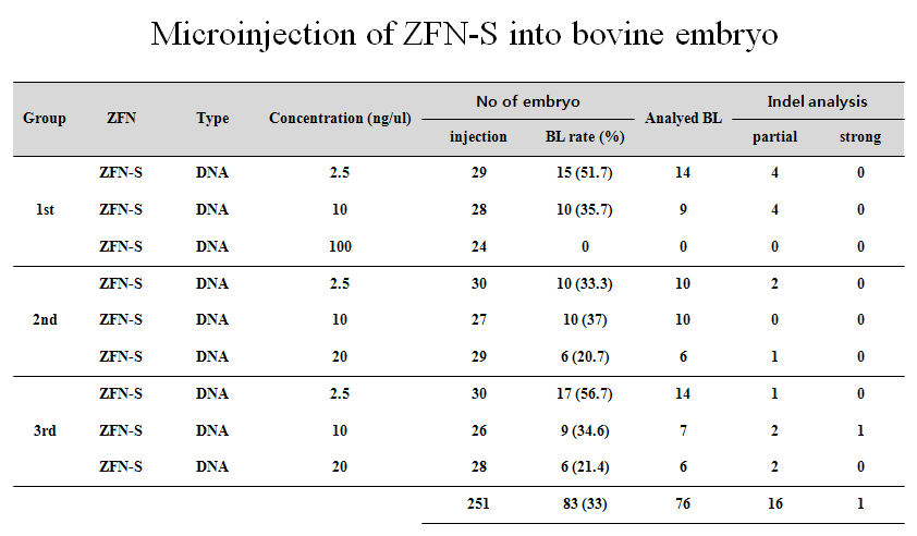 소 난자 세포질에 ZFN-S의 미세주입과 삽입/제거 (indel) 현상 분석
