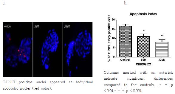 Effect of CHIR99021 on the apoptotic status in bovine blastocysts. Results are expressed as a percentage of TUNEL assay positive cells of blastocysts