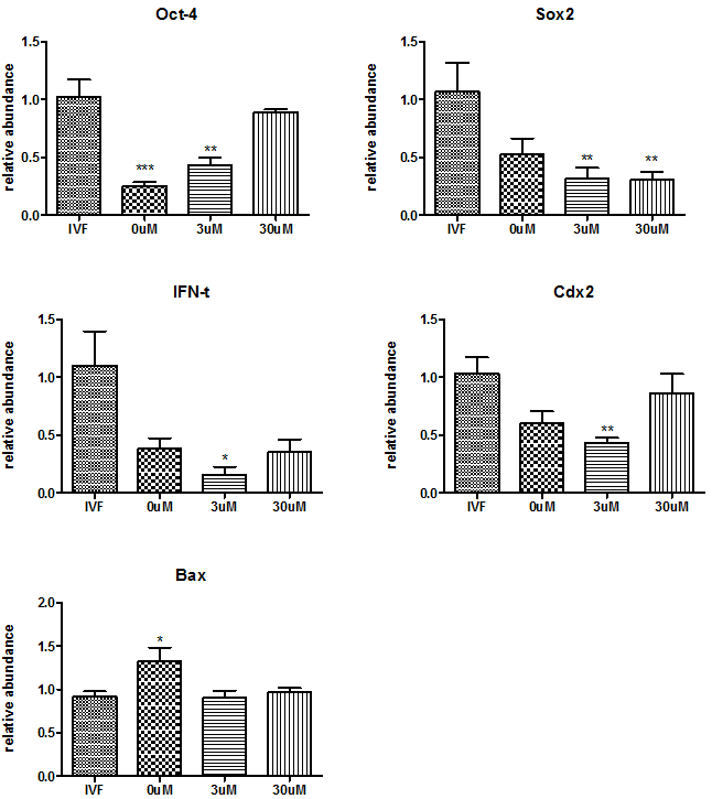 Effect of CHIR99021 on relative abundance of various developmentally important gene transcript in bovine blastocysts. This experiment was repeated three times with β-actin used as the internal standard. Columns marked with an asterisk indicate significant differences compared to IVF group. * = p <0.05, ** = p <0.01, *** = p<0.001